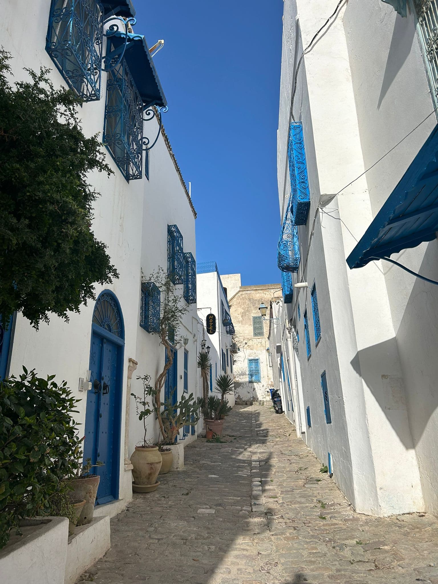 DÍA 2 SIDI BOU SAID