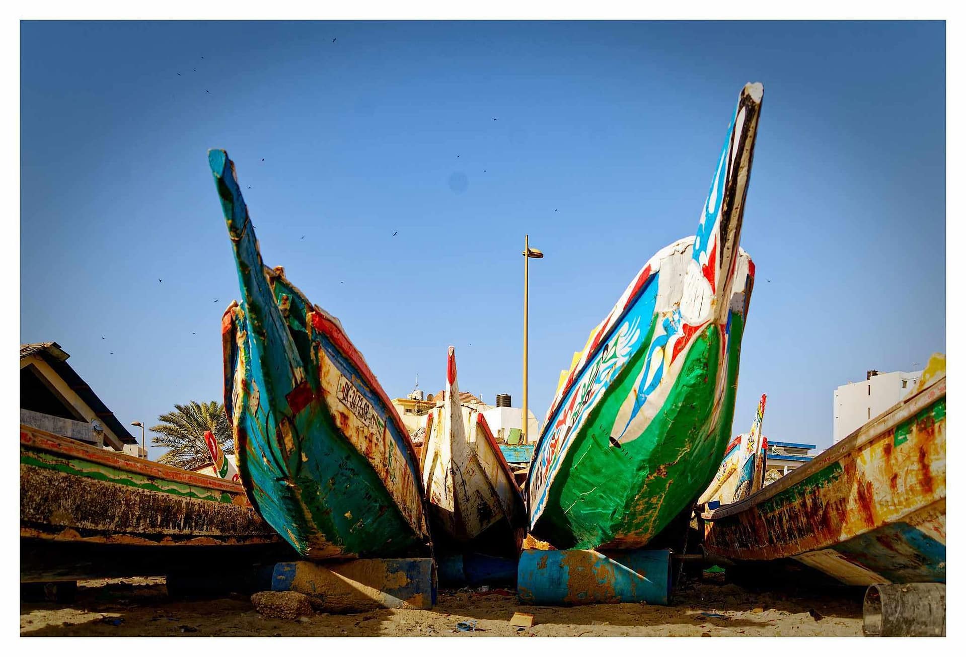Senegal (20)